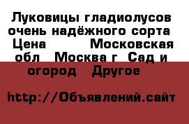 Луковицы гладиолусов очень надёжного сорта › Цена ­ 100 - Московская обл., Москва г. Сад и огород » Другое   